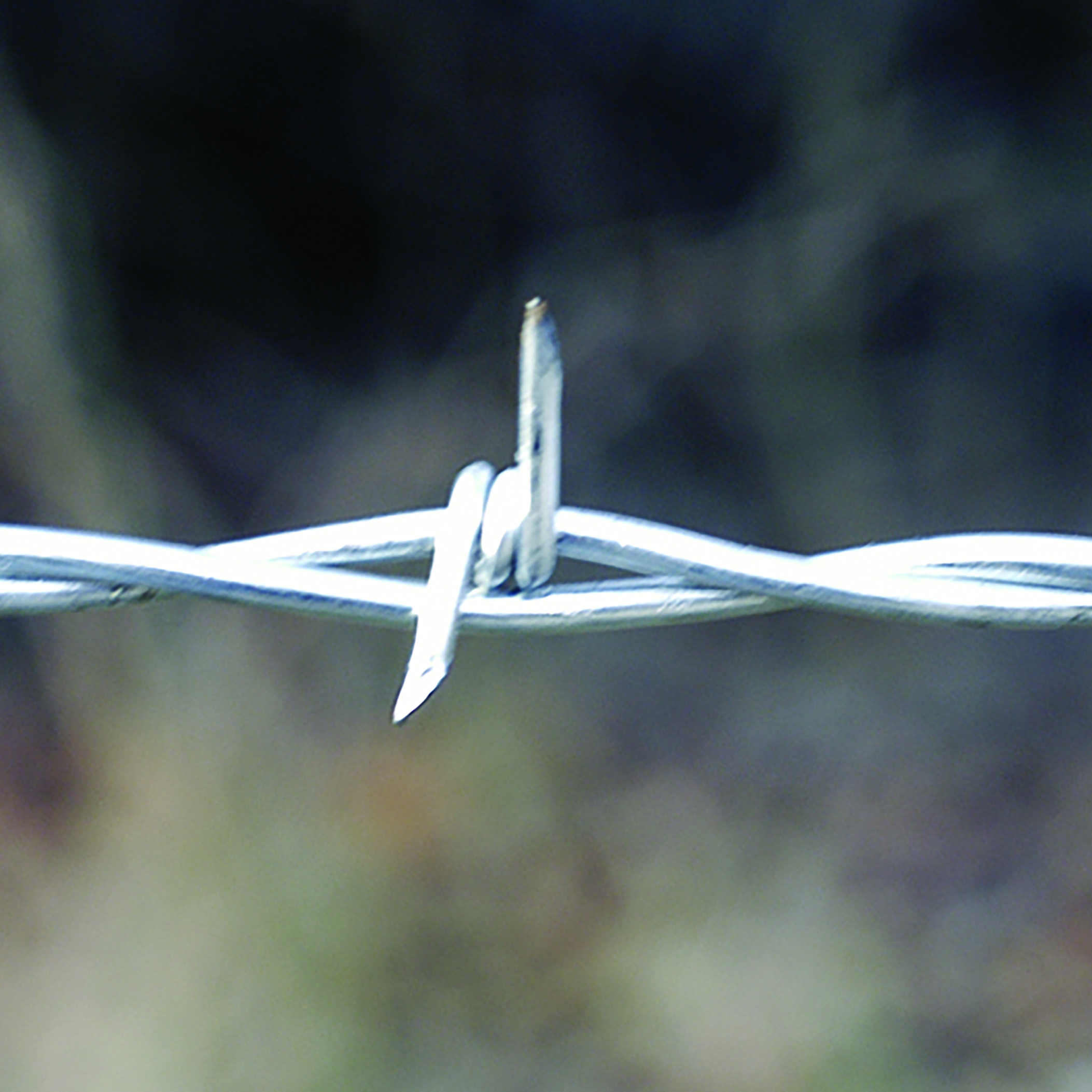Barbed Wire 2 Point Barb
