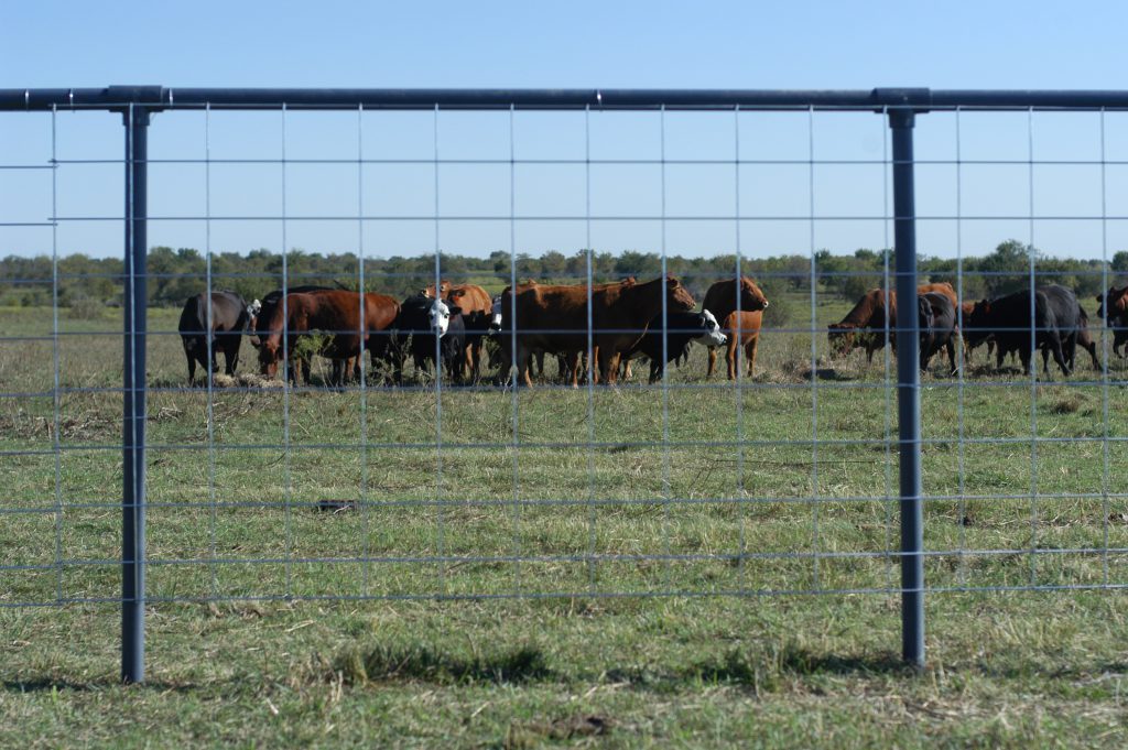 Livestock Panels