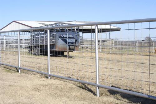 Ranch Fence